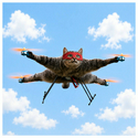 REDCAT
