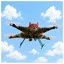 REDCAT / USDG
