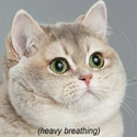 HeavyBreathing