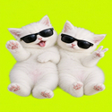 TWINCAT