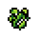 ALGAE
