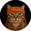 XCAT