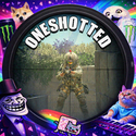 ONESHOTTED