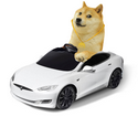 DOGE