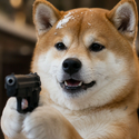 wifgun