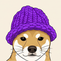 DOGEWIFHAT / SOL