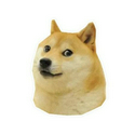 DOGE