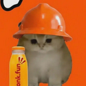 BONKCAT