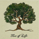 TREE / ZEC