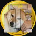 TSUKI
