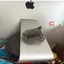 AAPLCAT