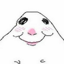 Hamster 