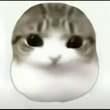 妙脆角