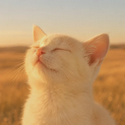RELAX