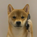 callinu