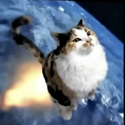 Rocat