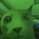 MarketCat
