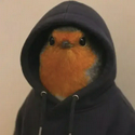hood