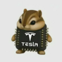 CHIPMUNK / TSLAx