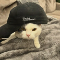 E/CAT / e/acc