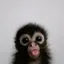 ape