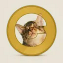 CATE