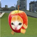 APPLECAT