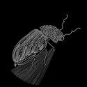 PERMUTATIONIN