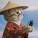 Mao Mao