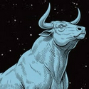 BULL