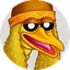 BIRDDOG