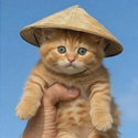 猫 / SOL