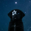 Astro