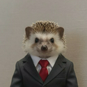 Joe