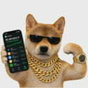 Trader / PUMP