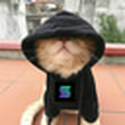 solcat