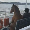 KYZEE