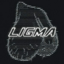 LIGMA