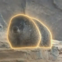 ゆば