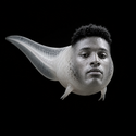 SEMAN