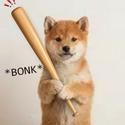 bat / Bonk