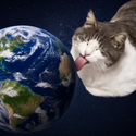 licking