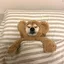 pup