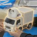 truckdog / SOL