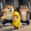 CATSnDOGS