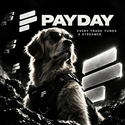 PAYDOG