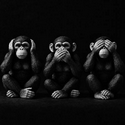 Monkeys / NEURALINK