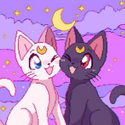 SAILORCAT