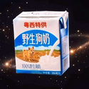 野生狗奶 / SOL