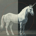 UNICORN / SOL